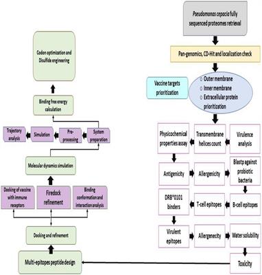 Reverse Vaccinology and Immunoinformatic Assisted Designing of a Multi-Epitopes Based Vaccine Against Nosocomial Burkholderia cepacia